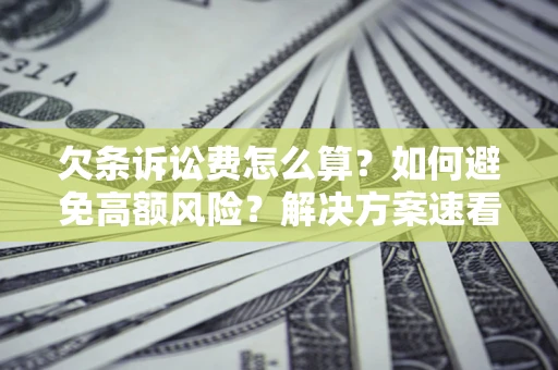 北京欠条诉讼费怎么算？如何避免高额风险？解决方案速看！