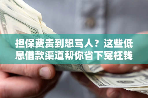 北京担保费贵到想骂人？这些低息借款渠道帮你省下冤枉钱