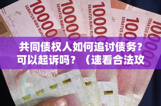 北京共同债权人如何追讨债务？可以起诉吗？（速看合法攻略）